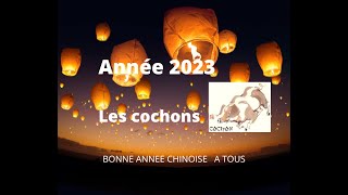 🐷 Cochon sangliers signe astrologique chinois pour lannée 2023🐷 [upl. by Aihselat]