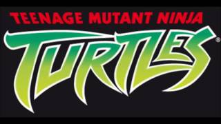 TMNT 20032006 Extended Opening [upl. by Ahsyak812]