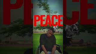 Determination Peace lyrics video [upl. by Assilak]