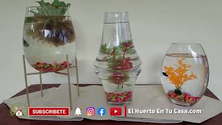 TRES IDEAS DE PECERAS DECORATIVAS PARA EMBELLECER TUS ESPACIOS FAVORITOS [upl. by Redna]