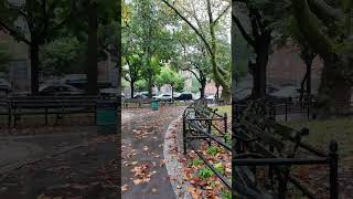 Rainy day on Autumn New York City rainyday autumn newyorkcity [upl. by Aehsat]