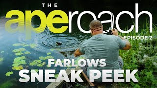 The APEroach Farlows SNEAK PEAK  S1E2 COMING SOON [upl. by Previdi912]