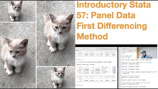 Introductory Stata 57 Panel Data First Differencing Method [upl. by Natsirt]