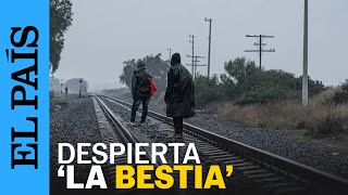 MÉXICO  El recorrido de los migrantes a bordo del tren La Bestia  EL PAÍS [upl. by Ryley]