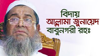 জুনায়েদ বাবুনগরীকে নিয়ে গজল । Allama Junayed Babunagari । Kalarab Shilpigosthi [upl. by Hallutama1]