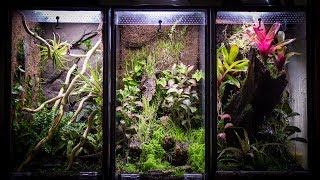 Aquarium to 10 Gallon Vertical Vivarium [upl. by Killam]