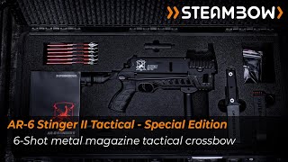 Introducing the exclusive AR6 Stinger II Tactical Special Edition [upl. by Etnom]