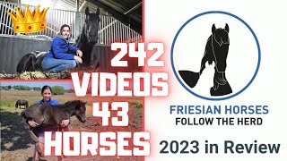 Friesian Horses Review 2023  Wow What a year Dreams came true thanks admins❤️ Friesian Horses [upl. by Settle]