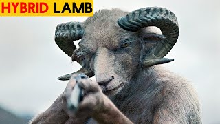 Lamb 2021 Movie Explained in Hindi  Lamb  VK Movies [upl. by Noble]