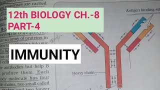 Class 12 biology chapter 8part 4IMMUNITYStudy with FARRU [upl. by Amsirp]