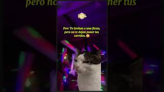 😅 Contra todo pronóstico ¿Qué canción pondrían 👀short memegatos meme viralshort [upl. by Airbma]