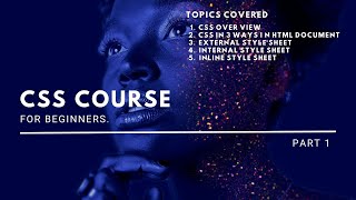 Start Learning CSS Now  The Basics of Internal External amp Inline Style Sheets [upl. by Neeoma]