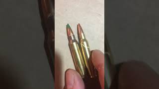 shtf GREEN TIP vs BALL AMMO WHAT YA STOCKING shorts [upl. by Altis]