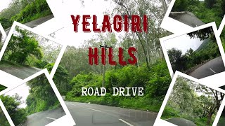 Complete tour on Yelagiri Hills  Yellagiri Hills Road Drive  Road Trip  Travel  Club Crafteria [upl. by Ial]