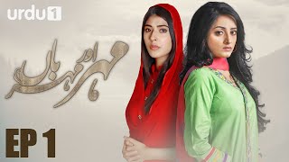 Meher Aur Meherban  Episode 1  Urdu 1 Dramas  Affan Waheed Sanam Chaudhry Ali Abbas [upl. by Ayekin]