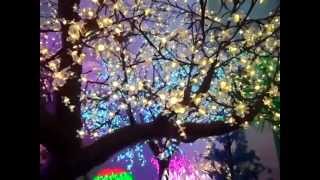 palmeras led decoración led arbol de led Led tree swetodiodno dyrwo LED [upl. by Sharyl]