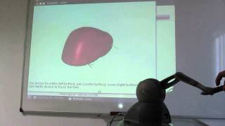 Haptic simulation of liver palpation [upl. by Elletsirk]