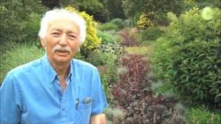 Tour of the Bressingham Gardens with Adrian Bloom [upl. by Lecroy]