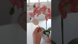 Paper orchid DIY handmade paperart paperflower paperartist [upl. by Sadinoel508]