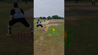 Kya ye out tha 🤔Lbw appealcrickters cricket lbw wickets out umpire shorts viralvideo [upl. by Galanti]