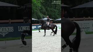 ocean swim  dressage horses arena equestrain fypviral [upl. by Pearson267]