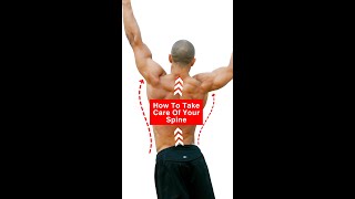 How To Take Care Of Your Spine [upl. by Akemed]