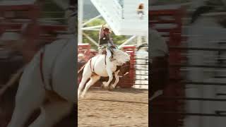 Bucking bronc riding buckaroos shorts [upl. by Ehcrop]