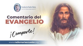 📖🙏 Reflexiones del Evangelio 15 de noviembre de 2024  Inspiración diaria sobre las escrituras [upl. by Enitsirhk928]