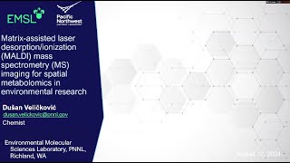 MALDI Mass Spectrometry Imaging for Spatial Metabolomics  Integrated Chemical Imaging Workshop [upl. by Ardnalac]