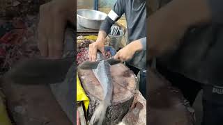 Katla Fish Cutting fish fishcutting trending shortsfeed food fishcuttingskill shorts bigfish [upl. by Revned867]