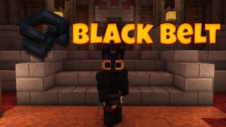 Finally getting Black Belt  Hypixel Skyblock Dojo [upl. by Goldie]