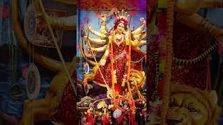 Bilaspur CityDurga PandalNavratri 2024shorts ytshorts divine devotional [upl. by Xuagram]