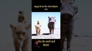 😨😨बहादुर शेर का बेटा जंगल छोड़कर भाग shorts viralvideo shortvideo [upl. by Onimixam]