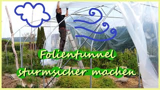 Folientunnel sturmsicher machen und 🍅 Tomaten pflanzen mit Schafwolle [upl. by Tacye]