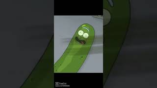 Pickle Rick [upl. by Warwick708]