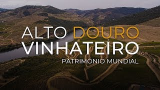 ALTO DOURO VINHATEIRO [upl. by Bab]