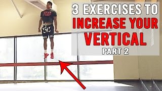 3 Exercises To INCREASE YOUR VERTICAL Pt2  JUMP HIGHER  The Lost Breed [upl. by Uriia]