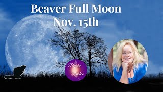 Beaver Full super Moon in Taurus Nov 15th and Beyond psychicdebbiegriggs zodiac horoscope fyp [upl. by Fayette623]