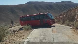 Las aventuras del Gato Andino por la región de Arica y Parinacota 2024 [upl. by Orban]