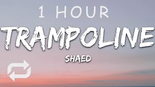 1 HOUR 🕐  SHAED  Trampoline Lyrics [upl. by Esertak]