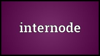 Internode Meaning [upl. by Ydoj]