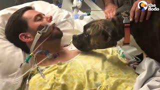 Dog Says Goodbye To Dying Dad at the Hospital  The Dodo [upl. by Cybil890]