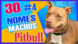 Nomes para pitbulls machos 4 [upl. by Comyns]