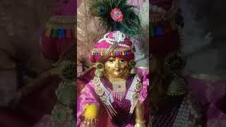 laddu Gopal new song video [upl. by Kcir]