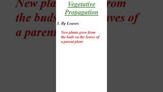 Plants reproduction  Vegetative Propogation shorts plants [upl. by Nire16]