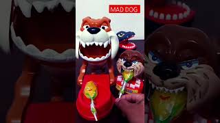 MAD DOG ANGRY CHIWAWA TAKE ONE LOLLIPOP AND EATING ASMRshortsviral shortsvideo [upl. by Xerxes]