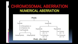 Chromosomal Aberration Numerical aberration including polyploidy [upl. by Jordanson327]