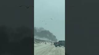 Golf Cart on Fire Spring Break 2024 Port Aransas TX [upl. by Ozan]