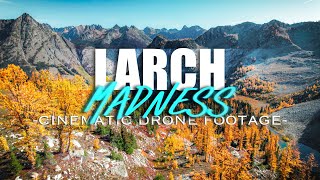 Larch Madness  Cinematic Aerial Footage [upl. by Kalmick]