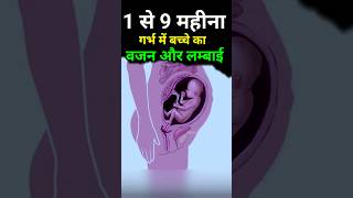 प्रेगनेंसी में 1 से 9 महीने बच्चे का वजन और लम्बाई Fetalweight fetaldevelopment pregnancycare [upl. by Nywroc276]